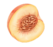 Peach Please asset 2
